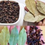 Pourquoi les araignées envahissent votre maison (et comment les faire fuir naturellement)