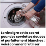 Le levier des phares de la voiture cache un secret que très peu de gens connaissent… See more