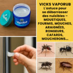 Voici la signification des chaussures accrochées à une ligne électrique