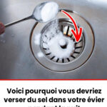 7 raisons de manger de l’avocat