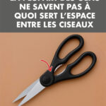 Libellule dans la maison : quelles significations ?