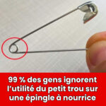 Les bienfaits de manger un clou de girofle chaque jour