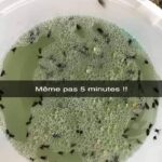 Saurez-vous résoudre ce test sans calculatrice ?