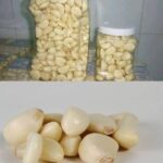 Chips de Courgettes Croustillantes au Four : Découvrez la Recette Facile