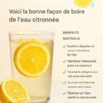 Traitement Naturel des Piqûres de Moustiques : La Méthode Révolutionnaire qui Soulage en 2 Minutes
