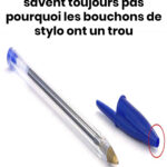 Comment se débarrasser efficacement des vers dans votre poubelle : conseils pratiques et prévention