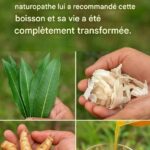 Les secrets d’une manucure impeccable : astuces pour un vernis longue durée