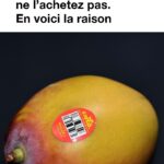 Recette de Désherbant Maison de Ma Nana : Comment Ça Marche
