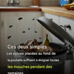 J’ai découvert ça dans notre nouvelle cuisine : qu’est-ce que c’est ?
